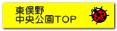 東俣野 中央公園TOP
