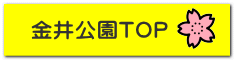 金井公園TOP
