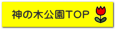 神の木公園TOP