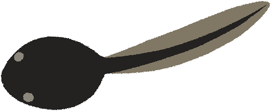 水辺のいきもの