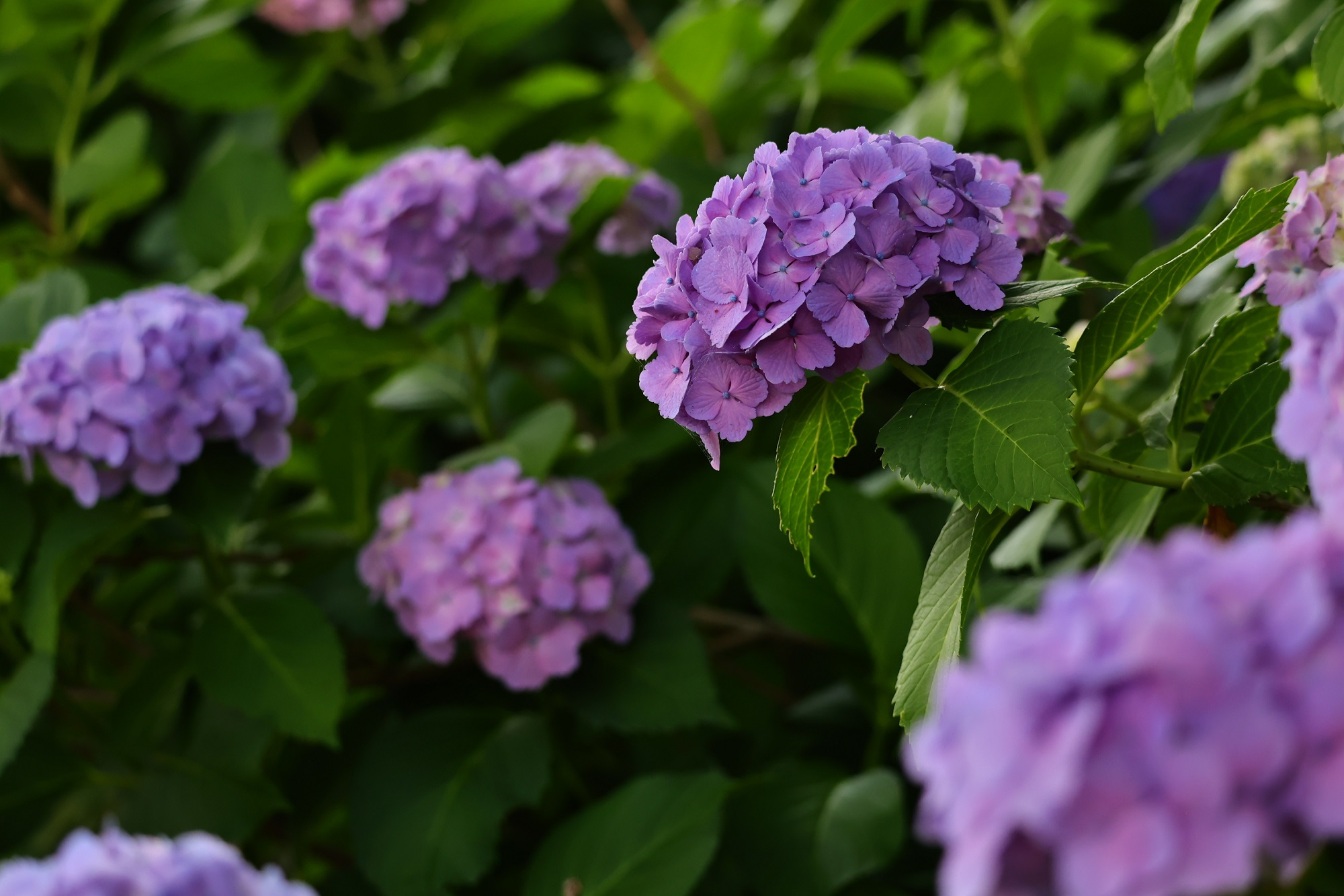 谷本公園スライダー②