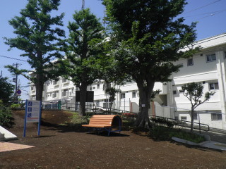 健康遊具で心と体もリフレッシュ！