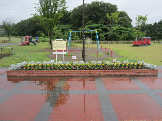 きれいなお花がみんなをお出迎え