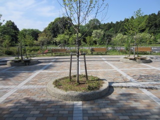 バス通りから離れているので、静かで落ち着ける広場です 