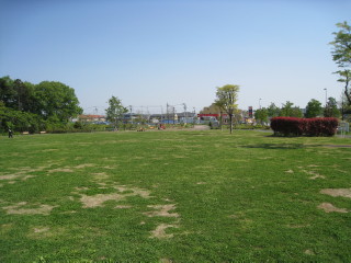 ゆったり広ーい芝生の広場。
かけっこしたりのんびりくつろいだりと楽しんでください。