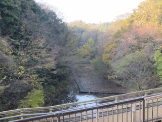 谷戸の景色が広がります