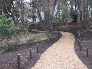 東側樹林地 画像②