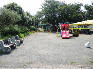 まめの遊び場②