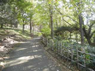 トリムコース③