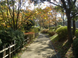 トリムコース④