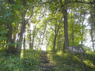 自然観察の丘①