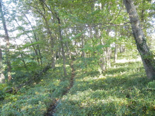 自然観察の丘②