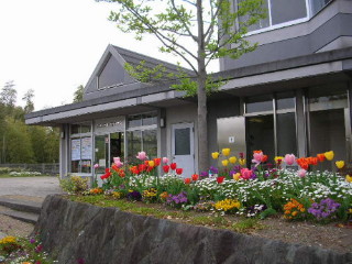 きれいなお花がお出迎え 