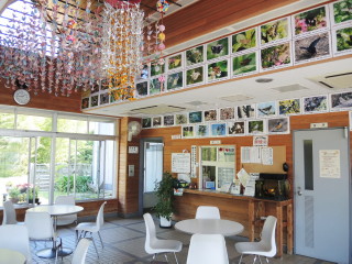 レストハウス内部