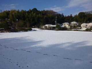雪の画像