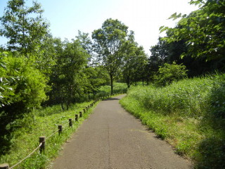 ホタルの里園路