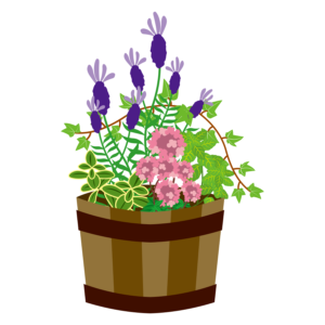 寄せ植え教室