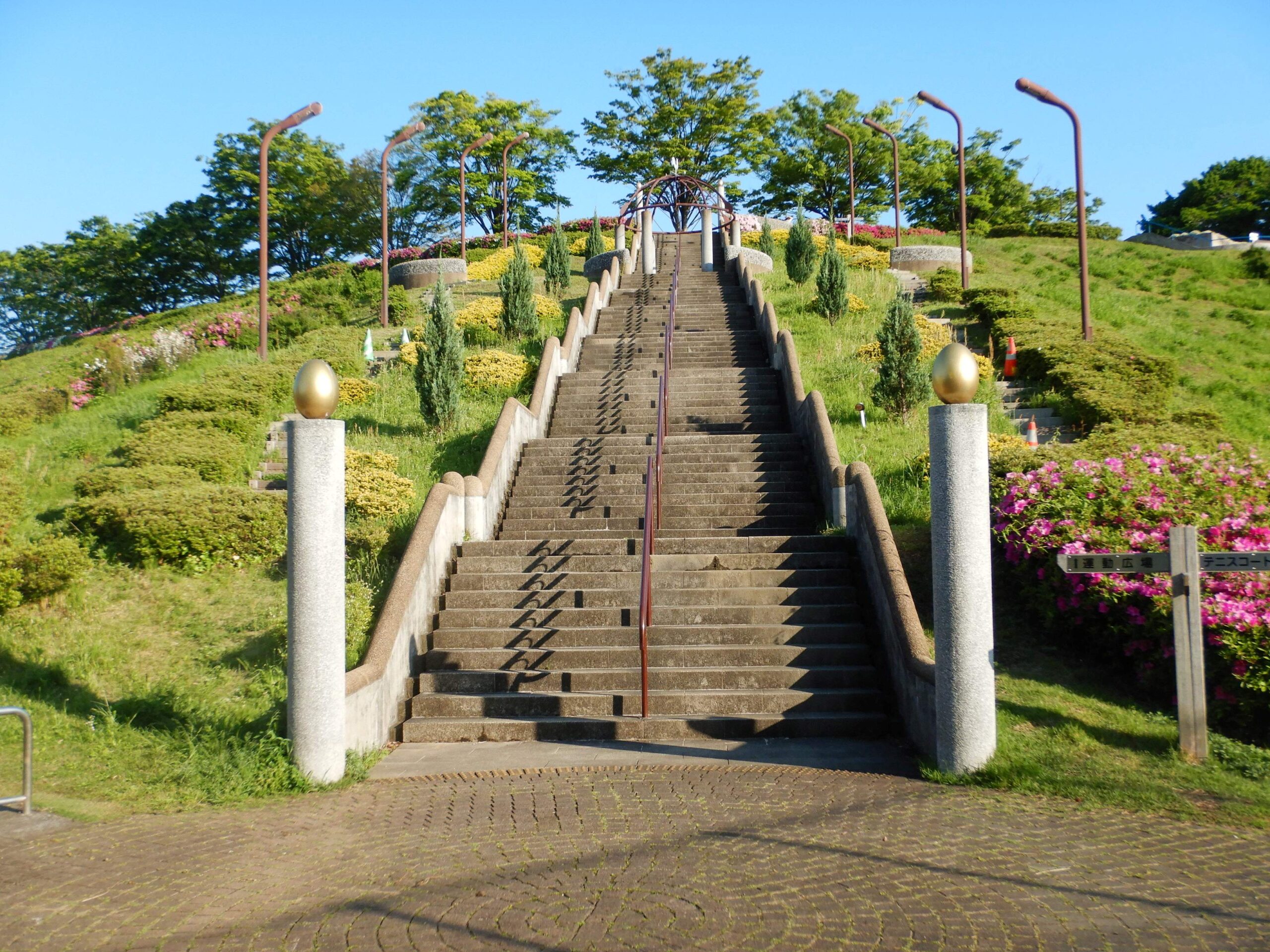 東俣野中央公園TOP画像2