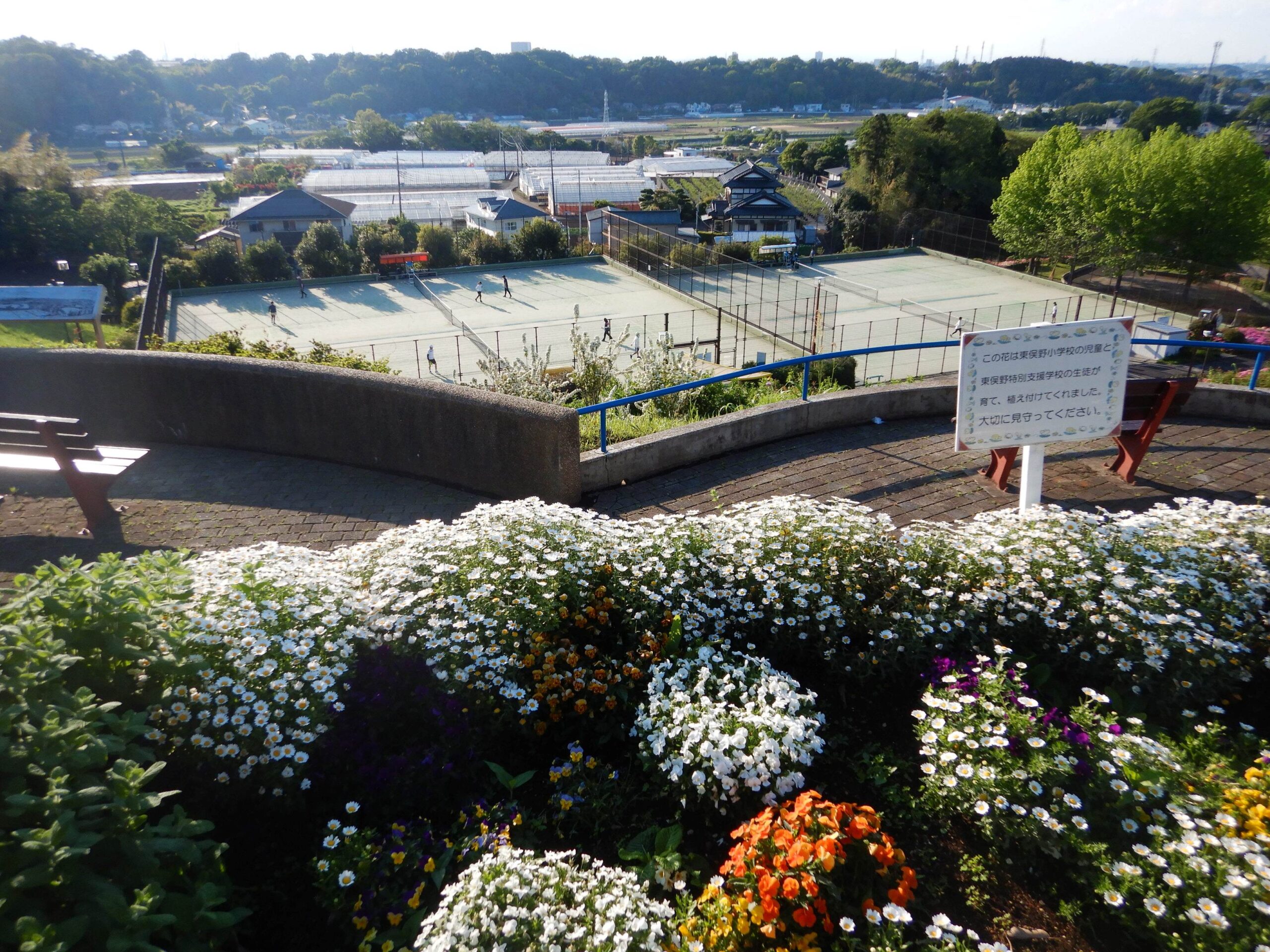 東俣野中央公園TOP画像3