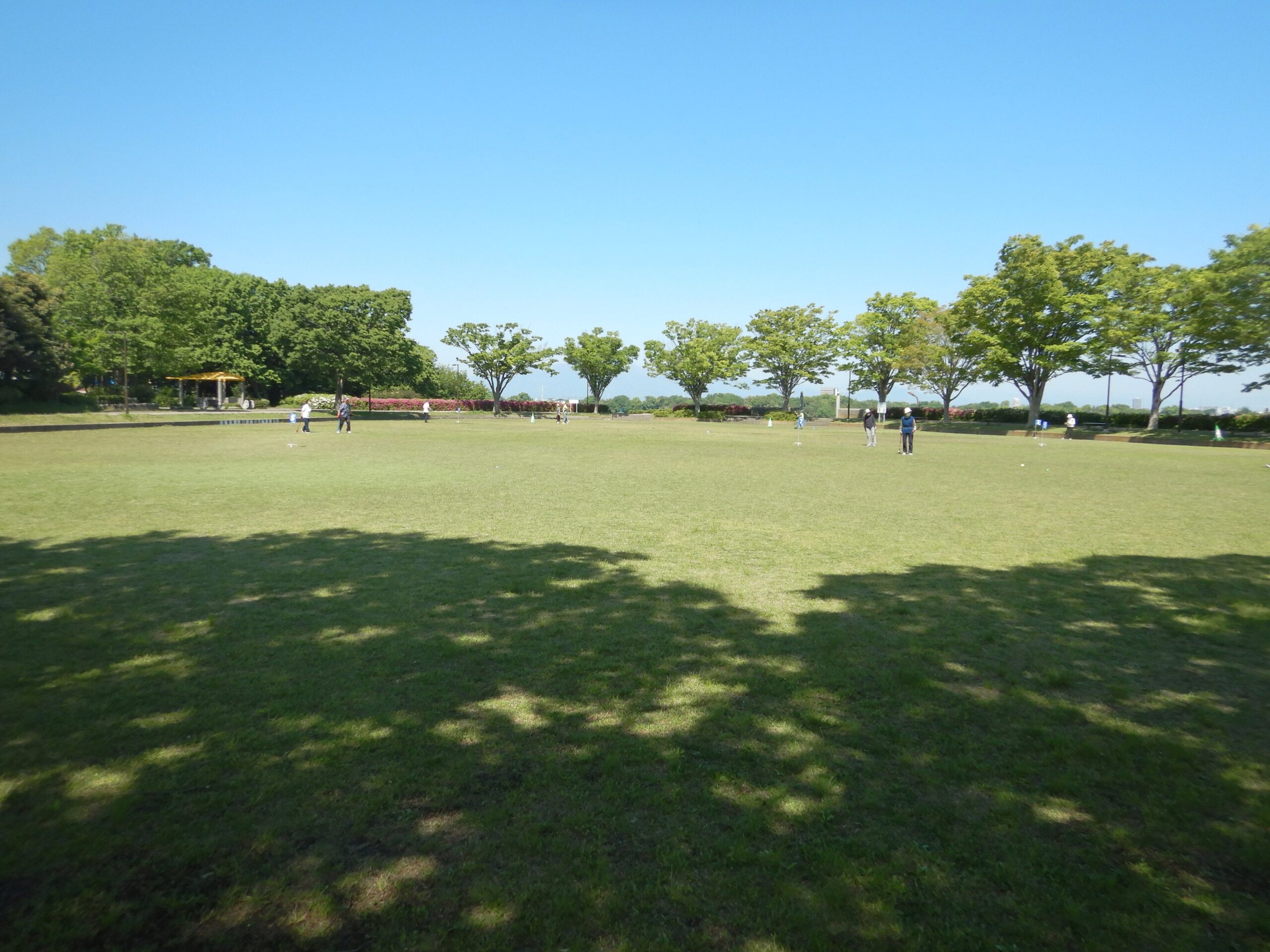 東俣野中央公園TOP画像4