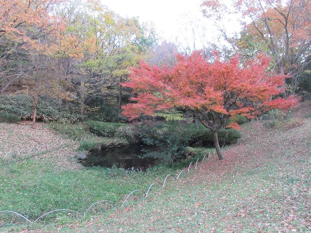 今川公園TOP画像１