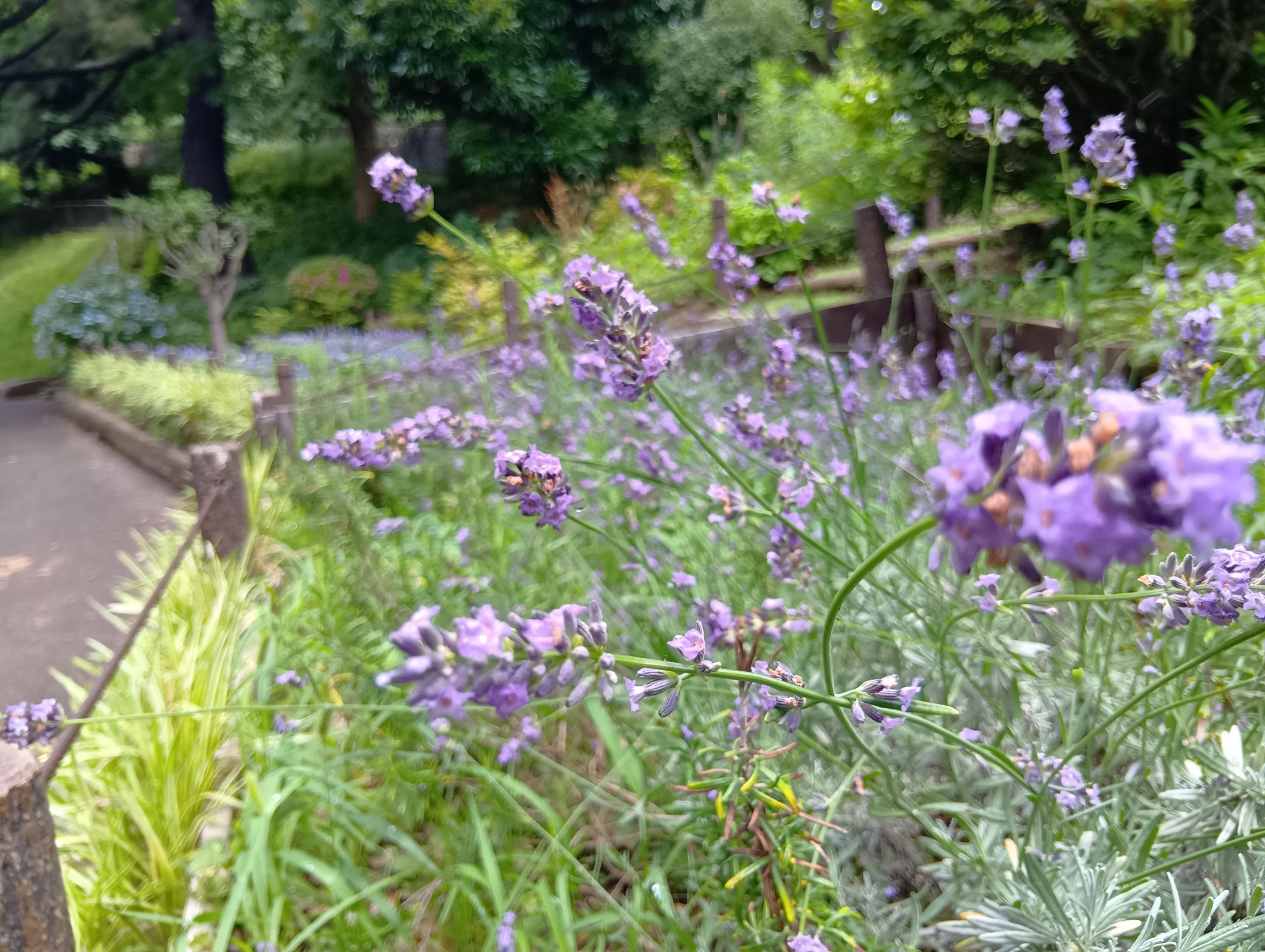 神の木公園スライド１