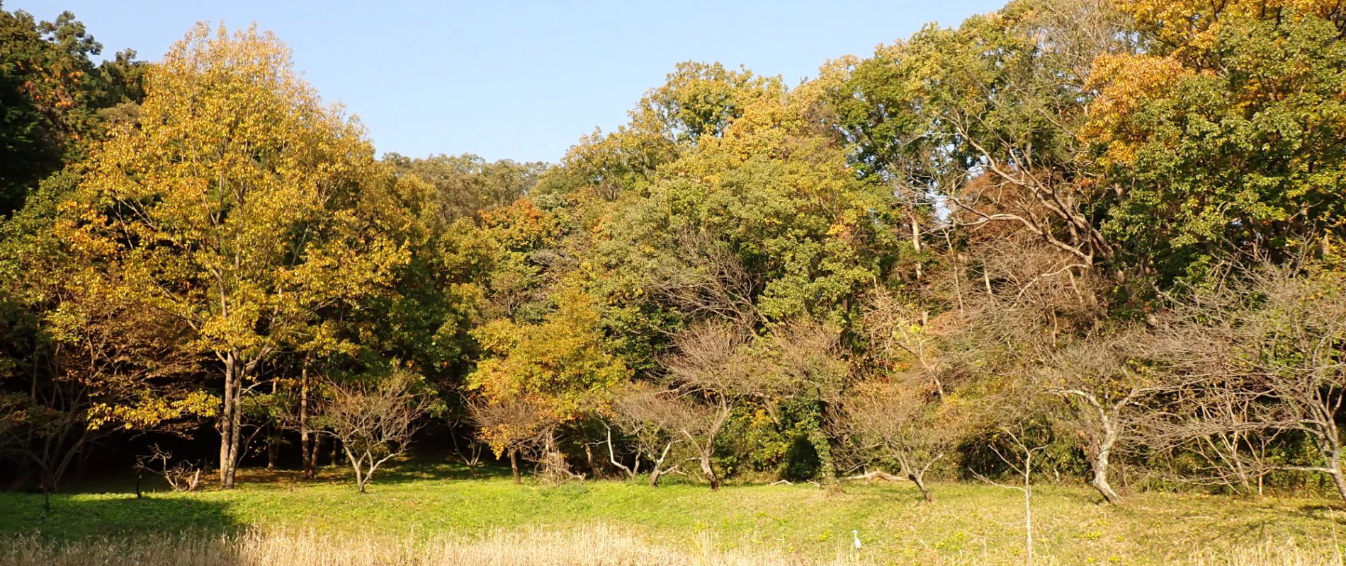小雀公園イメージ③