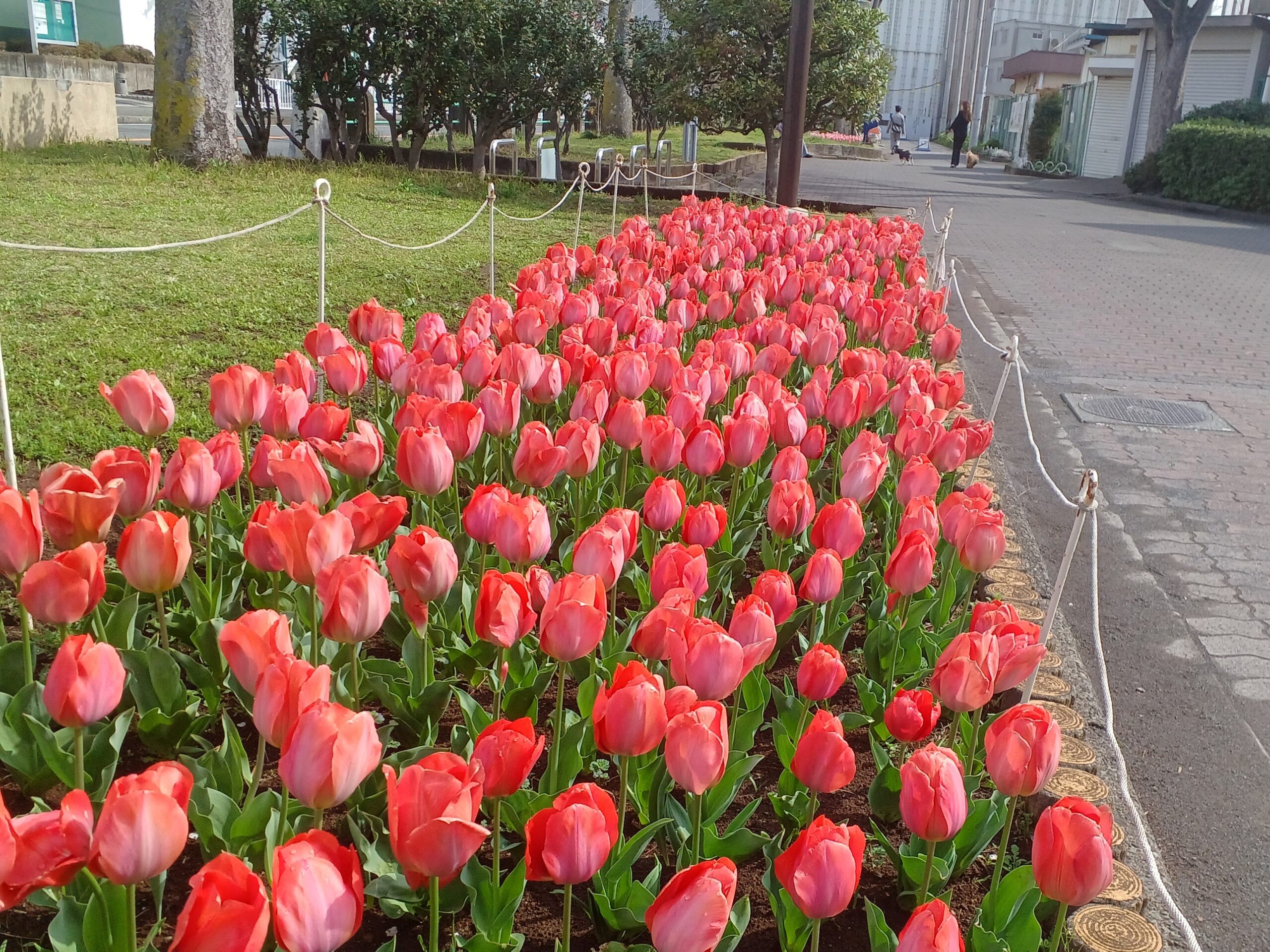 岡野公園TOP画像１
