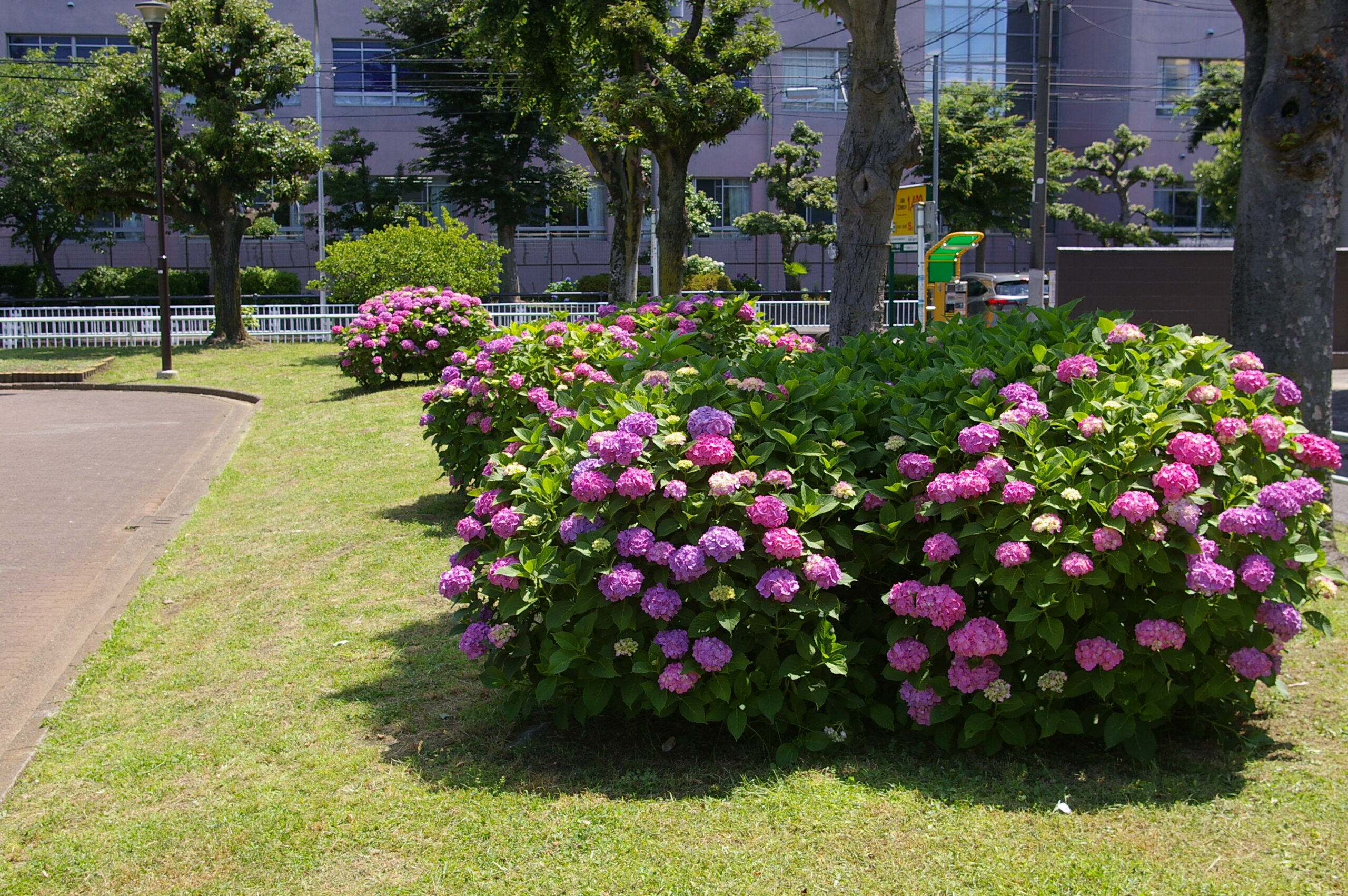 岡野公園TOP画像2