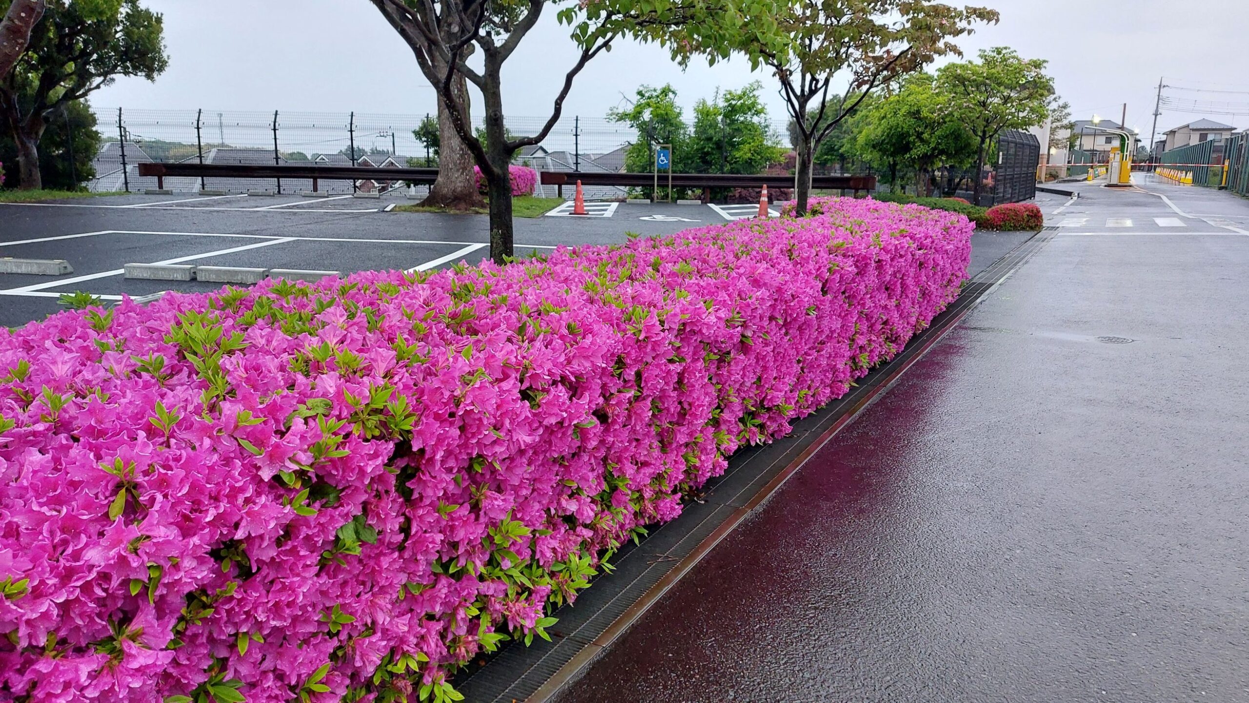 都田公園TOP画像１