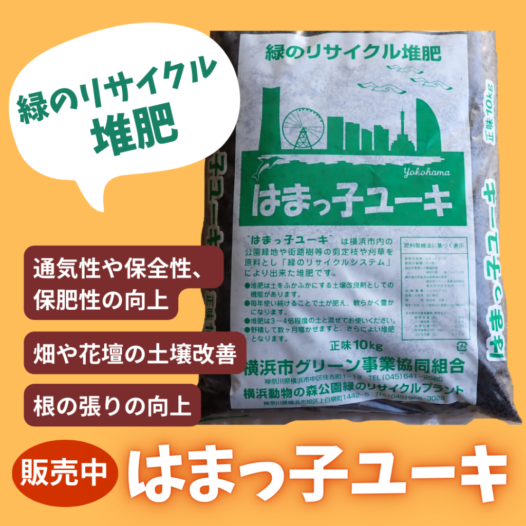 はまっ子ユーキ